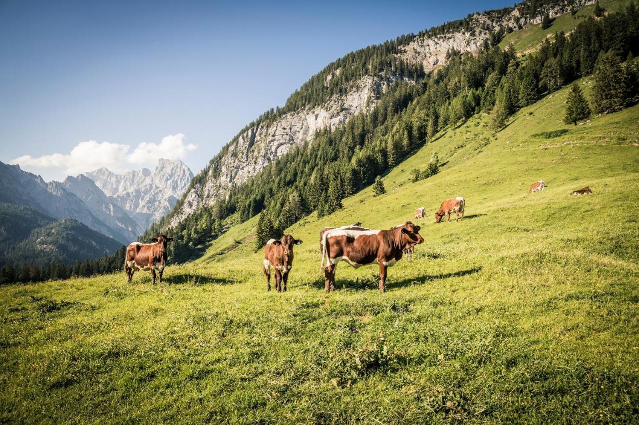 Ferienwohnung Im Gaestehaus Sieger-Brandner Ramsau bei Berchtesgaden ภายนอก รูปภาพ